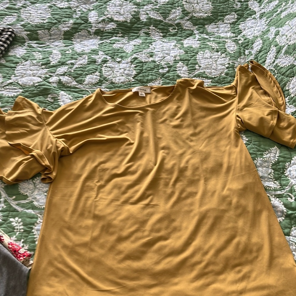 Ruffle sleeve blouse.  Never worn